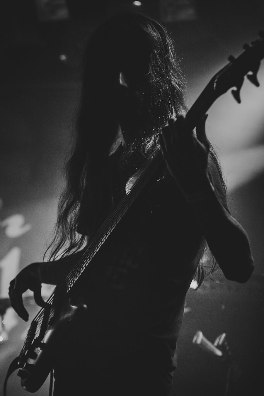 Bassist silhouetted against the stage haze